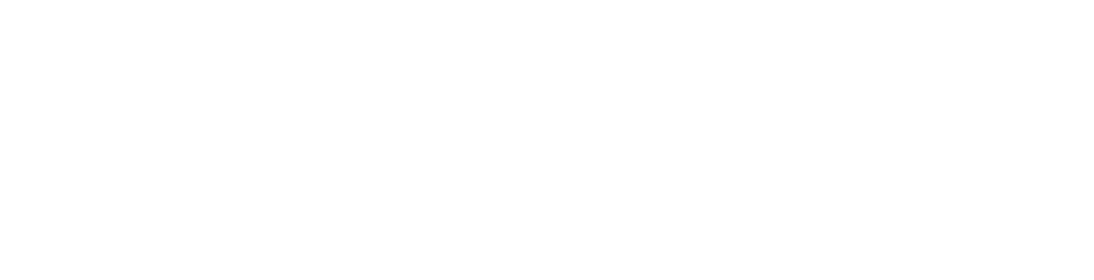 VG_CPA_White-08 (1)